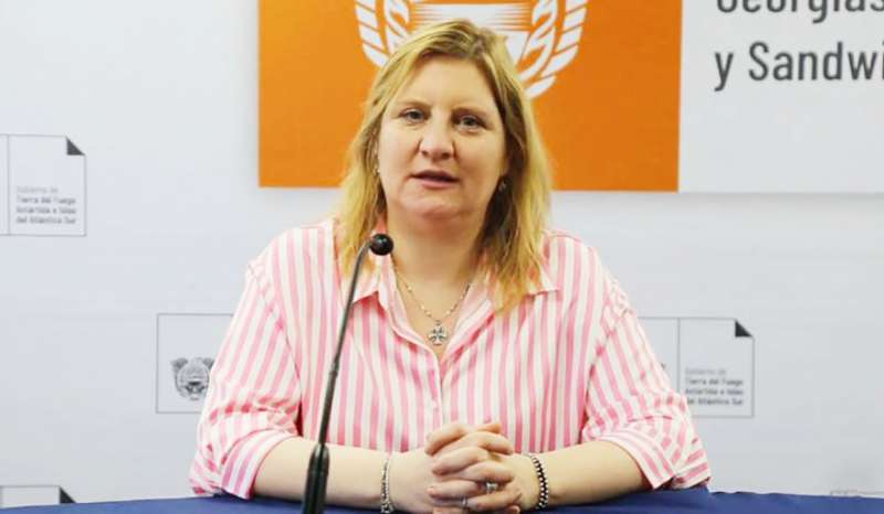 �El cobro a extranjeros no es el problema de la salud y en Tierra del Fuego no tiene impacto econ�mico�