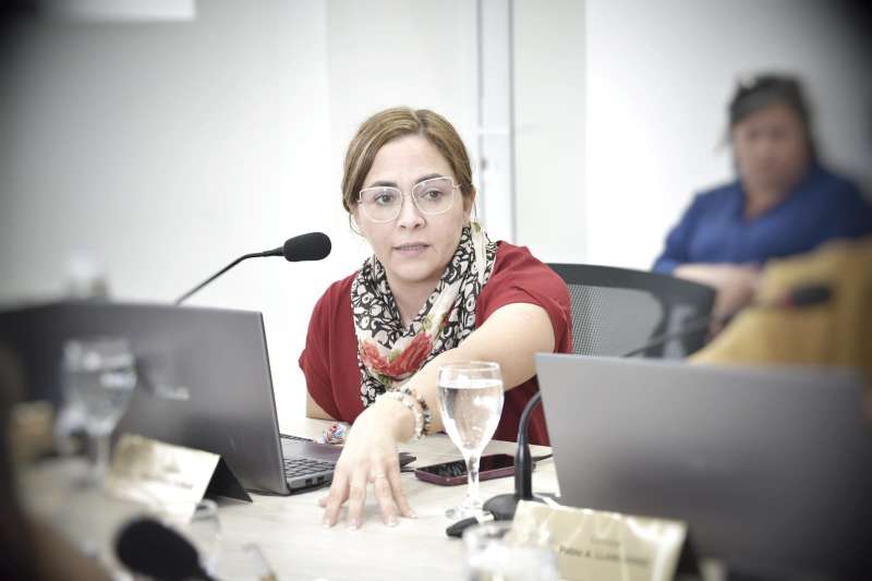"Debemos seguir trabajando para que este Primer Presupuesto con Perspectiva de Gnero tenga un alcance efectivo"