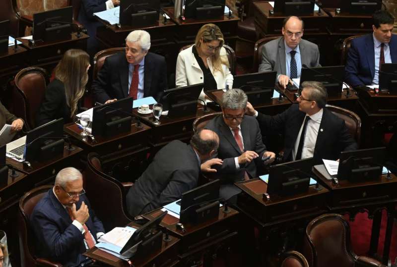 El Senado rechaz los vetos de Milei al financiamiento del Garrahan y las universidades