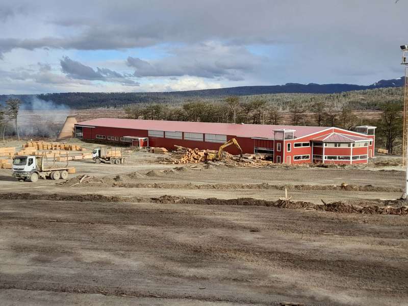 Kareken avanza en la exportacin de madera de calidad