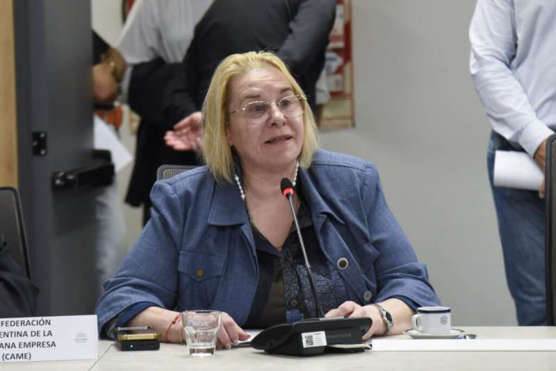 La venta en cuotas es la nica herramienta para competir contra la importacin