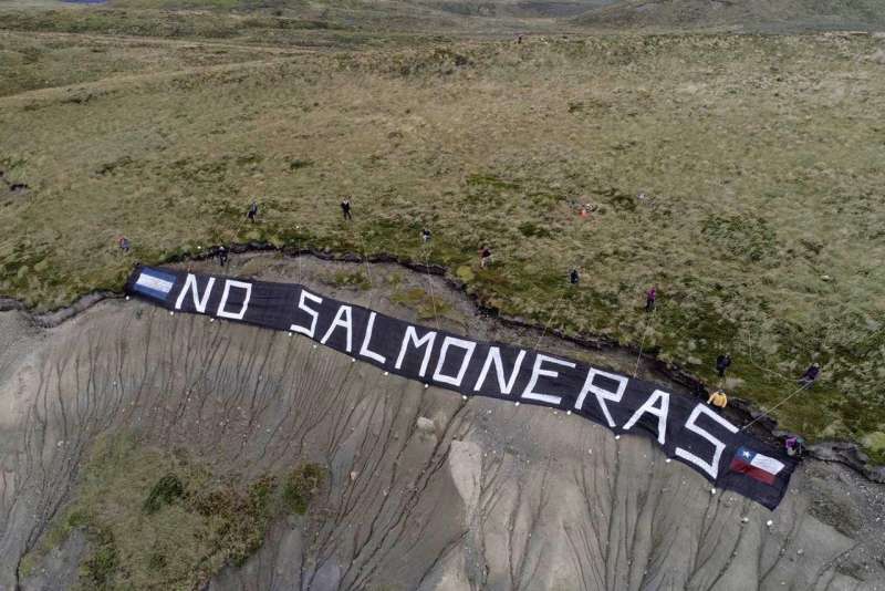 Sectores ambientalistas se oponen a las salmoneras en mar y en tierra