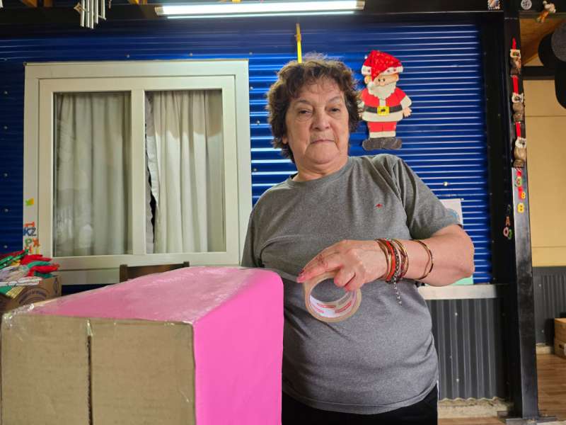 Mara Gonzlez lanz Elfos en Accin