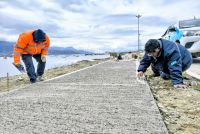 La Municipalidad avanza con las obras de la pasarela Luis Pedro Fique 