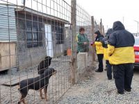 El Municipio contin�a acercando los servicios veterinarios a los barrios