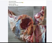 Allanamiento revela posible venta clandestina de carne en R�o Grande