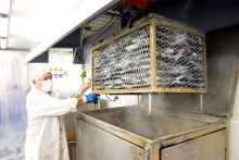 Se concret la primera exportacin de centolln elaborado